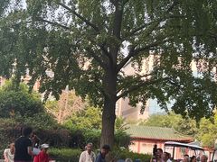 -洛阳周公庙博物馆