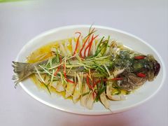 -巧妈月嫂•育婴师(兰州中心店)