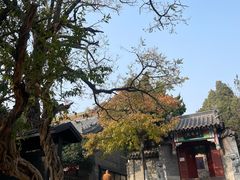 -湛山寺