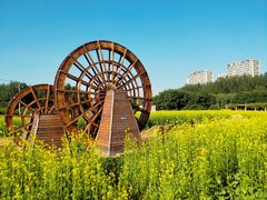 -长春公园(普阳街道)