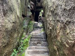 -鲁山国家森林公园