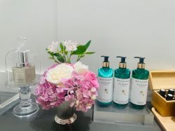 -奥斯芬欧系贵族SPA