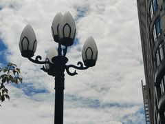 -重庆希尔顿酒店