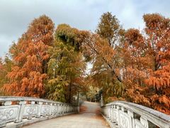 -上海海湾国家森林公园