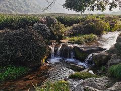 -中国茶叶博物馆(双峰馆区)