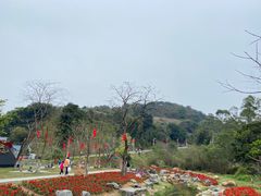 -黄埔油麻山森林公园