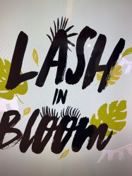 -Browhaus眉睫沙龙