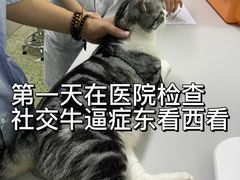 -成都民大动物医院