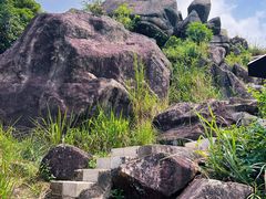 -阳台山森林公园