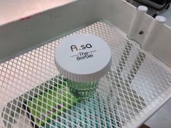 饮品-ASA HAIR SALON