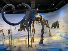 -辽宁古生物博物馆