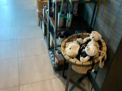 -星巴克(天津凯德天津湾店)