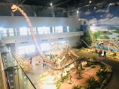 -自贡恐龙博物馆