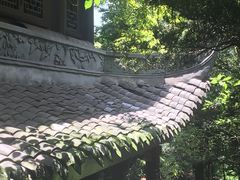 -缙云山景区