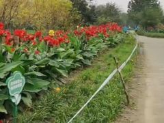 -绿堤公园