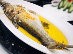 -海鸿荟·沿江菜(中山北路店)