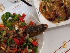 -煲来饱去冷水鱼