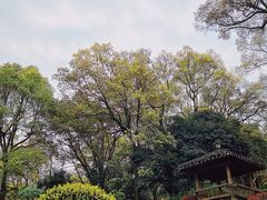 -南山植物园