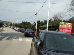 -从化深英荔枝黄皮龙眼采摘园