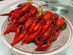 -洋洋中餐馆·SINCE 1997(信投店)