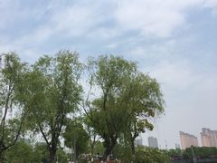 -尚贤河湿地