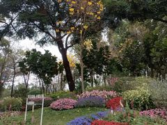 -云溪植物园