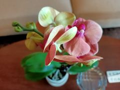 -徐州绿地皇冠假日酒店-汉宫中餐厅