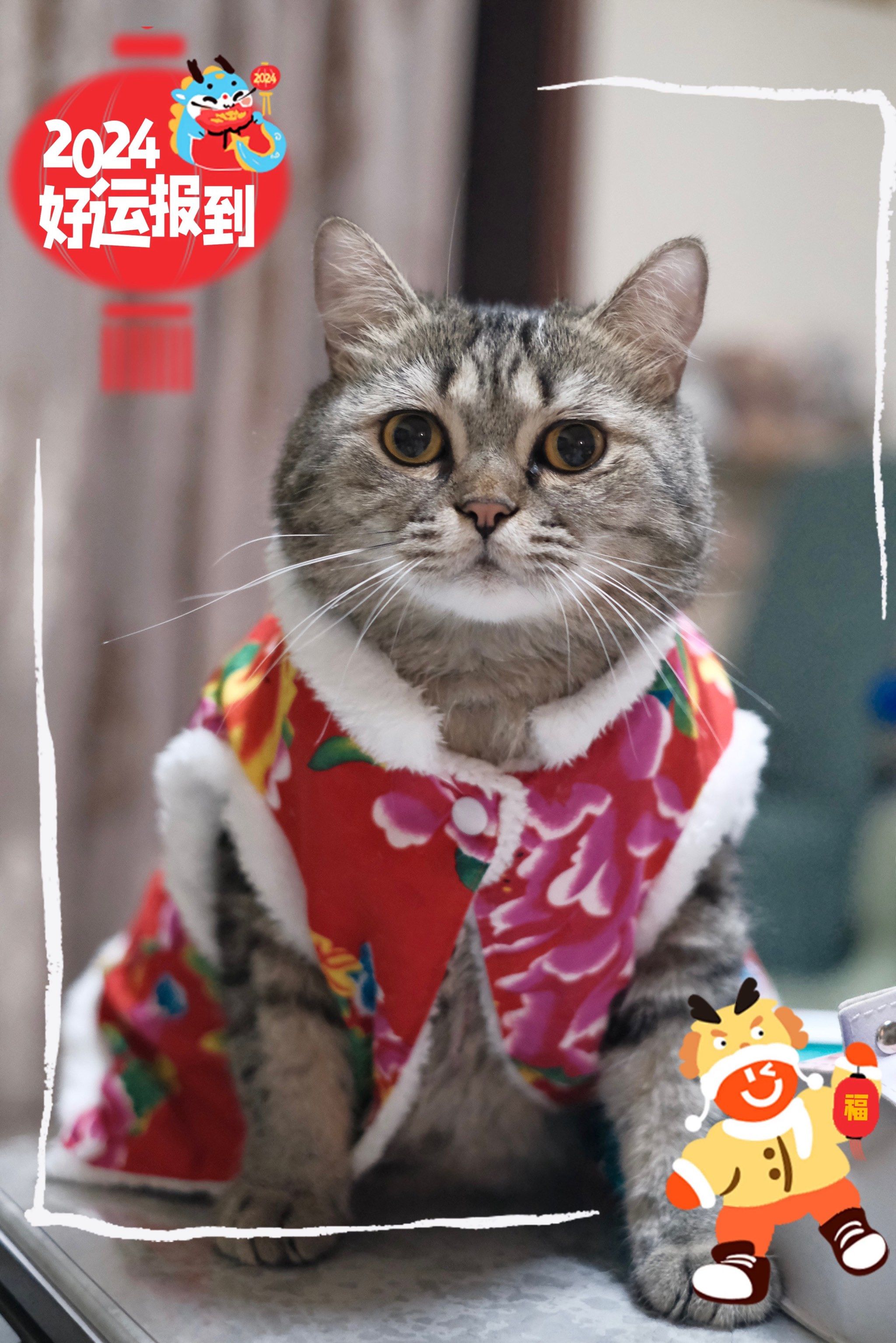 新年快乐