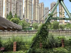 -成都市活水公园
