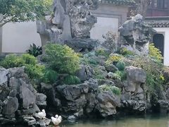 -豫园