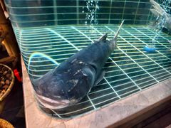 -老海陵·泰州菜(图书馆店)