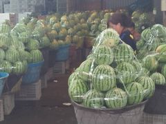 -江杨农产品批发市场