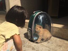 -大碗先生(沙湾天虹店)