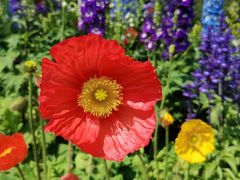 -人民公园(罗湖区)