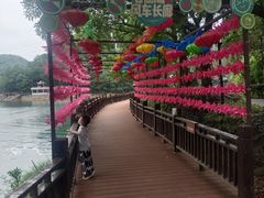 -石燕湖生态旅游景区
