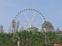 -石家庄市植物园
