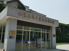 -北京麋鹿生态实验中心