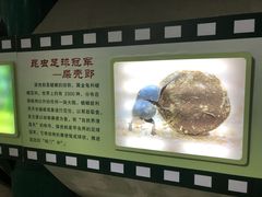 -上海昆虫博物馆