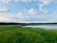 -塞罕坝国家级自然保护区