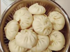 -田螺阿姨自营月嫂·育儿嫂(高新店)