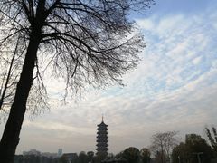 -葛仙湖公园