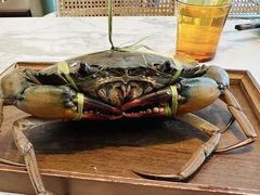 -太食獸泰式茶餐厅(艾尚天地店)