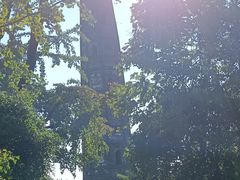 -上海佘山国家森林公园天马山园