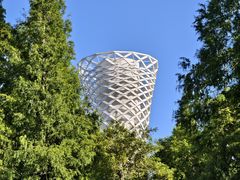-上海滨江森林公园