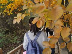 -大岭沟猕猴桃谷风景区