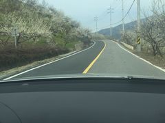 -南京维景国际大酒店(南京博物院店)