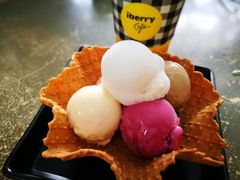 -莓园冰淇淋店