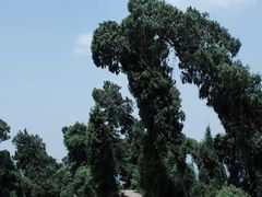 -金堂县云顶石城风景区