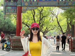 -北京国子监胡同