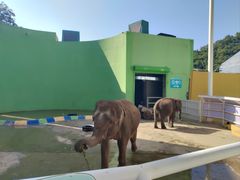 -大连森林动物园